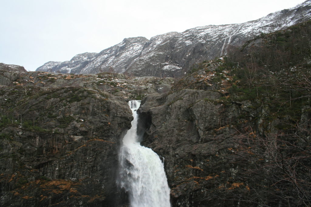 IMG_8755