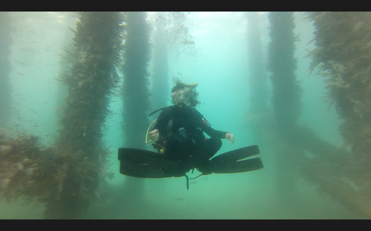 Scuba Diving: A Beginner’s Guide to the Underwater World