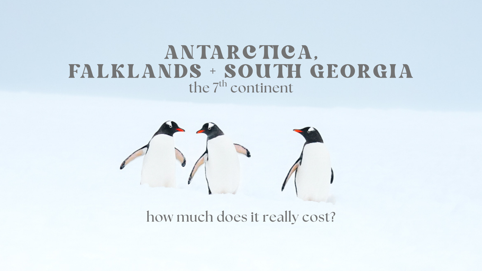 I Visited Antarctica, Here’s Exactly What It Costs