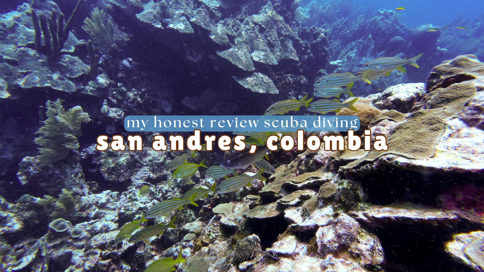 Scuba Diving in San Andrés, Colombia: My Honest Experience