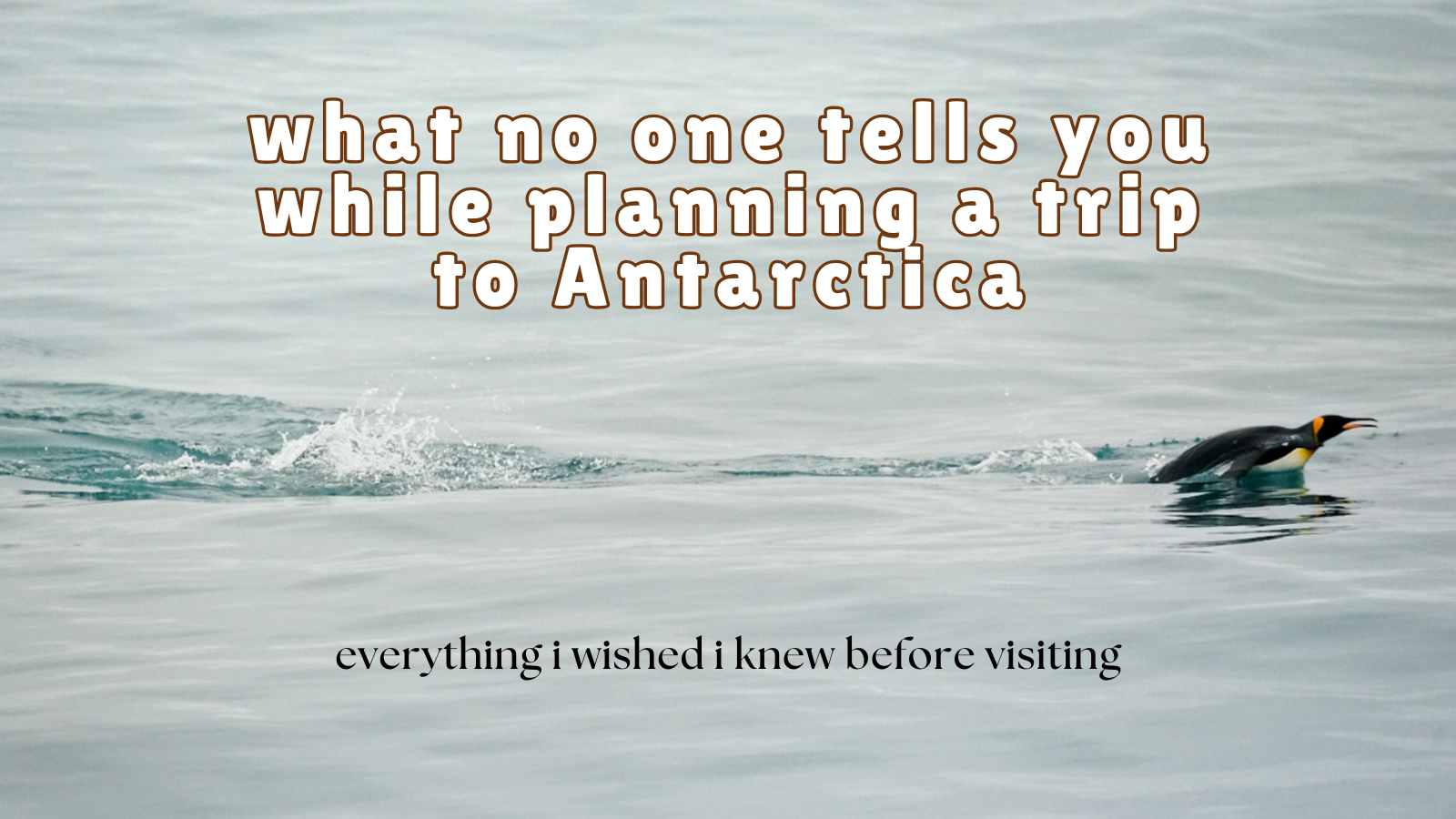 Cruising to Antarctica: Everything I Wished I Knew Before Visiting