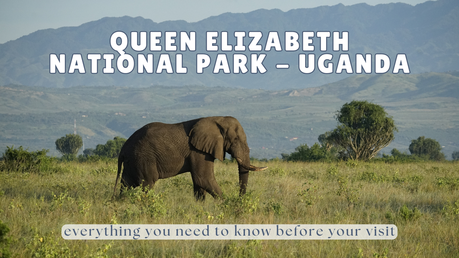 Queen Elizabeth National Park Guide (Uganda): Everything You Need to Know Before Visiting